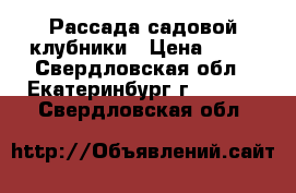  Рассада садовой клубники › Цена ­ 60 - Свердловская обл., Екатеринбург г.  »    . Свердловская обл.